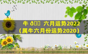 牛 🐠 六月运势2022（属牛六月份运势2020）